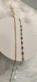 پابند مجلسی